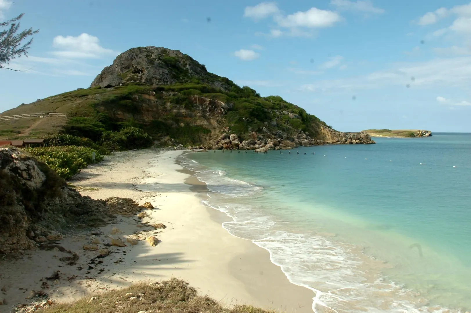 Alcalde de Ponce denuncia condiciones deplorables de Caja de Muertos