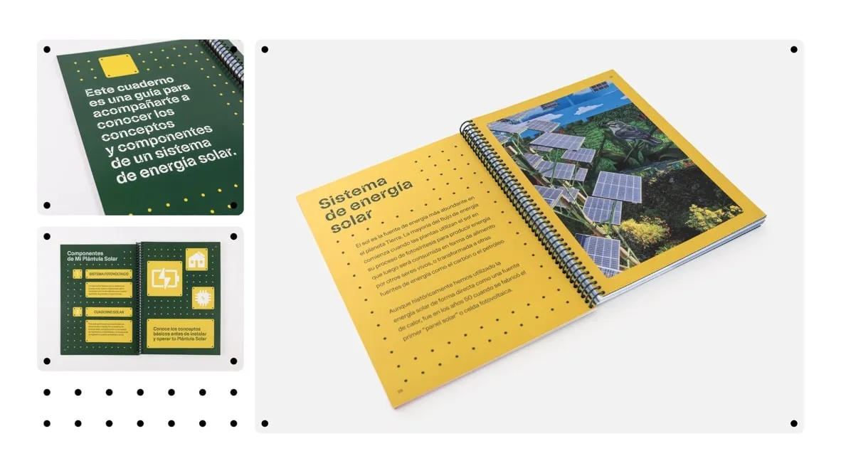 Casa Pueblo lanza nuevo proyecto educativo “Mi Plántula Solar”