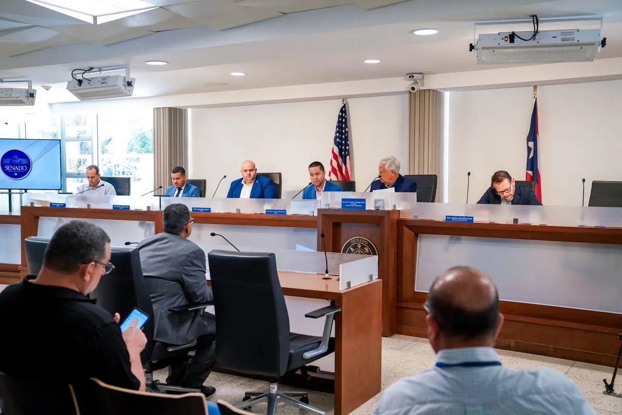 Comisión continúa evaluación sobre proyecto para crear “Ley de Apoyo a Sistemas Municipales de Educación”