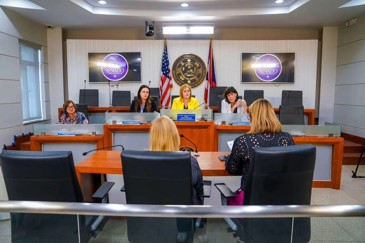 Senado evalúa implementar la “Ley de Integración de Valores y Ética” en el Departamento de Educación