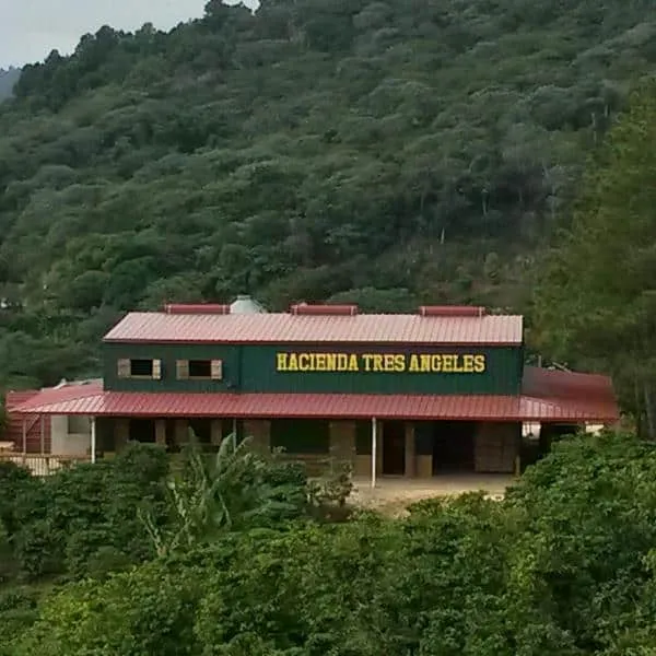 Exhortan visitar la montaña y apoyar la agricultura del país así como el comercio local