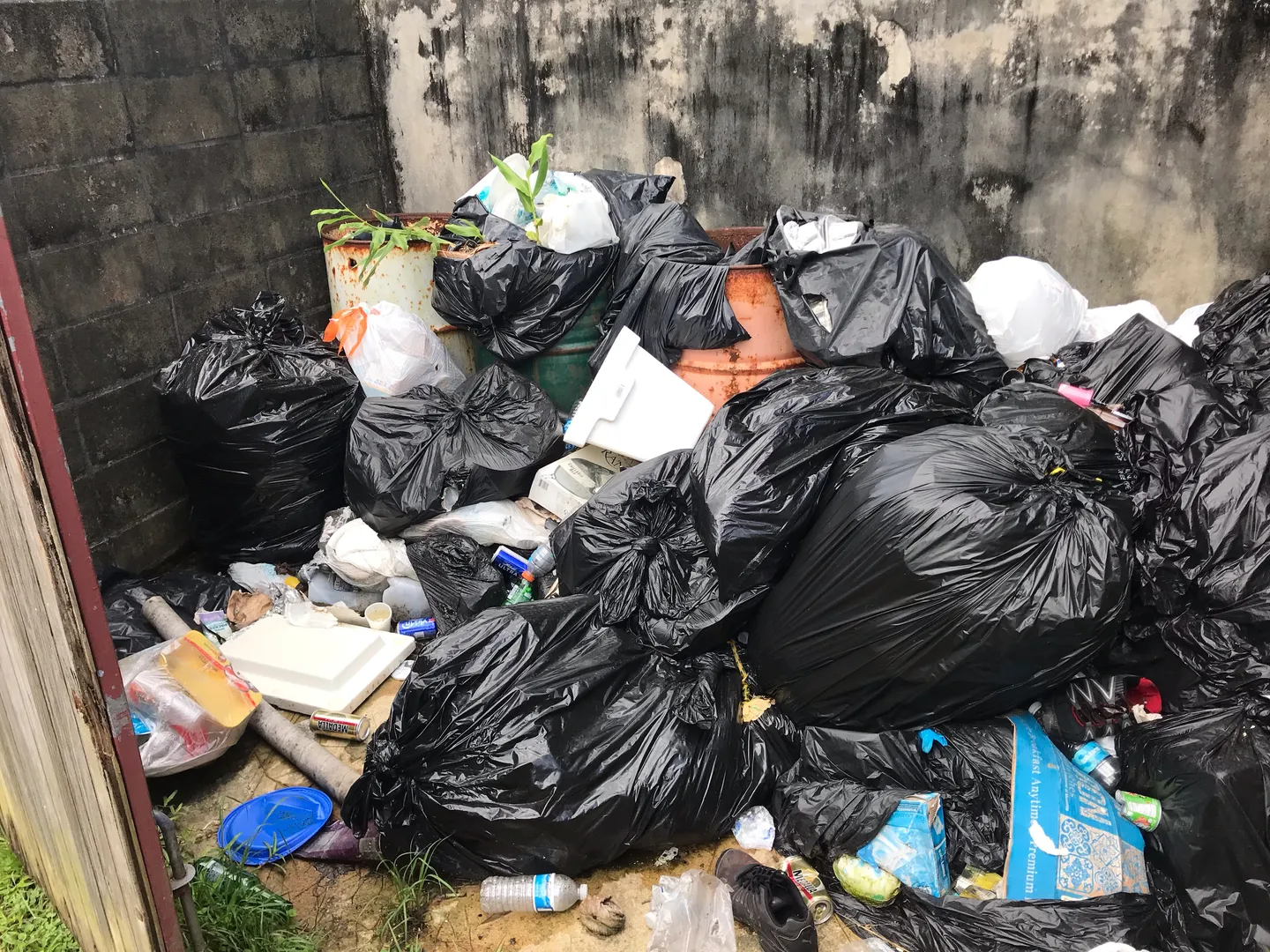 Supervisor de El Yunque señala problema de basura y escombros en áreas del bosque