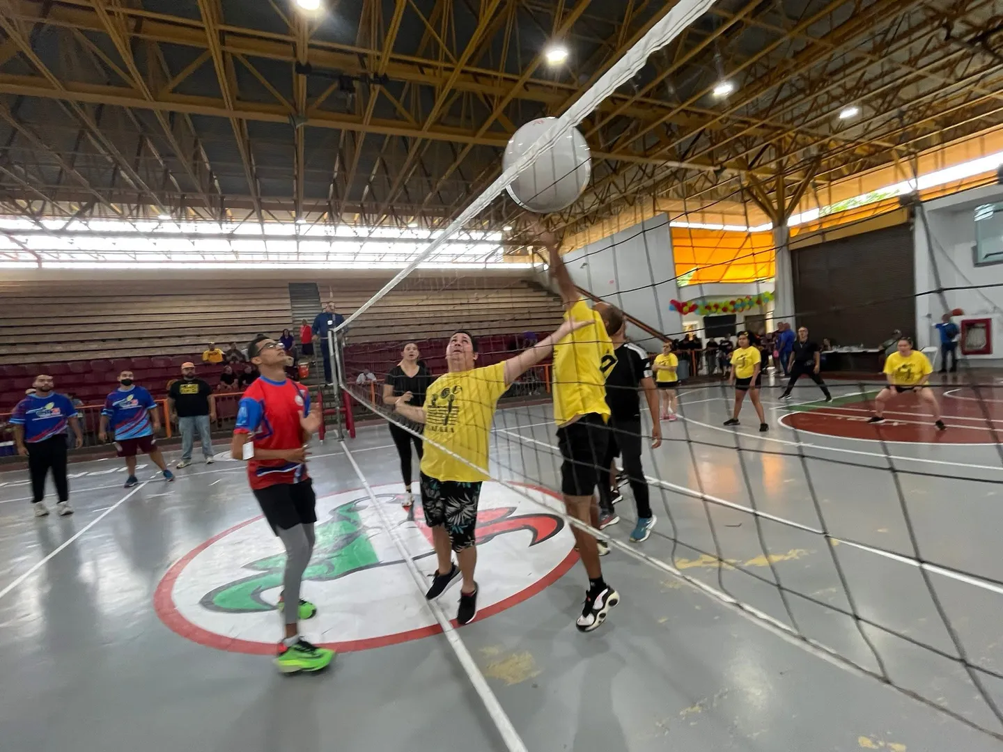 Cayey celebra Torneo de Voleibol Adaptado y resalta su programa deportivo inclusivo