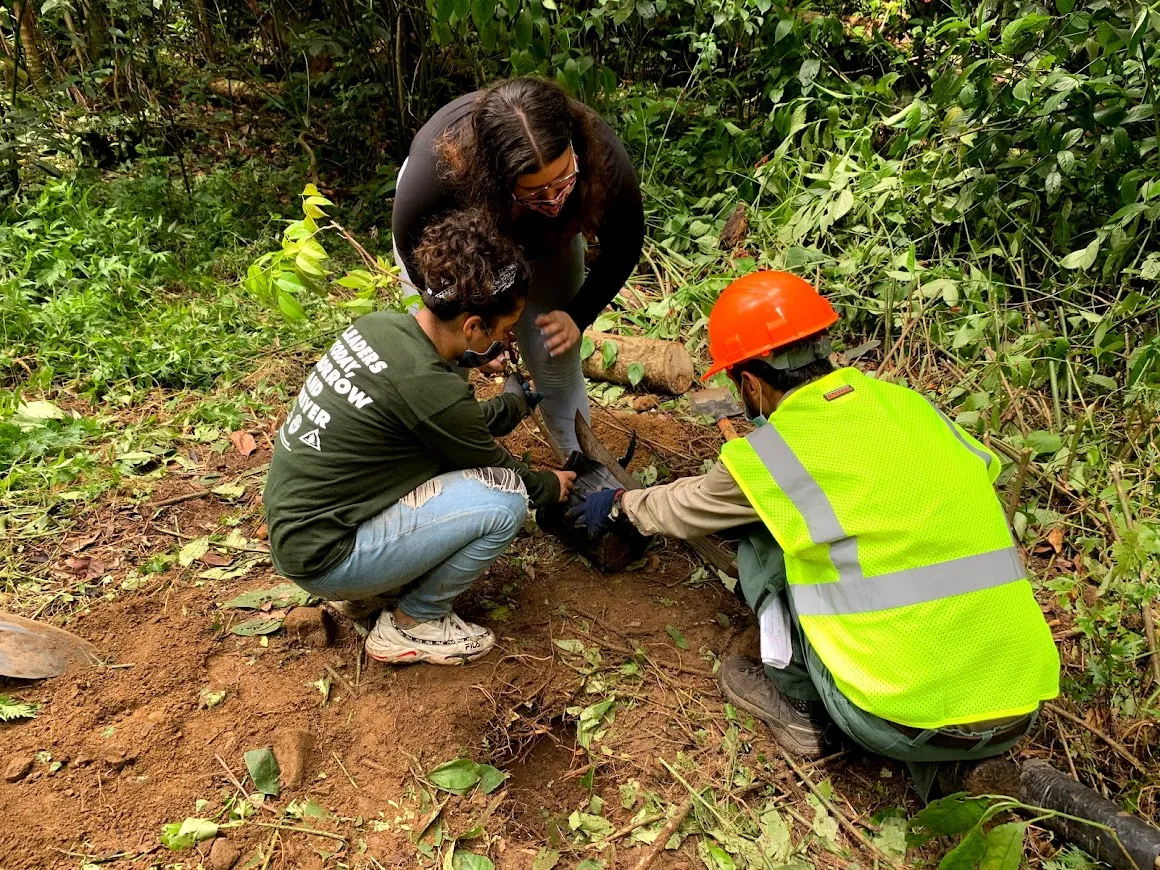 El Yunque celebrará el Día Nacional de las Tierras Pública