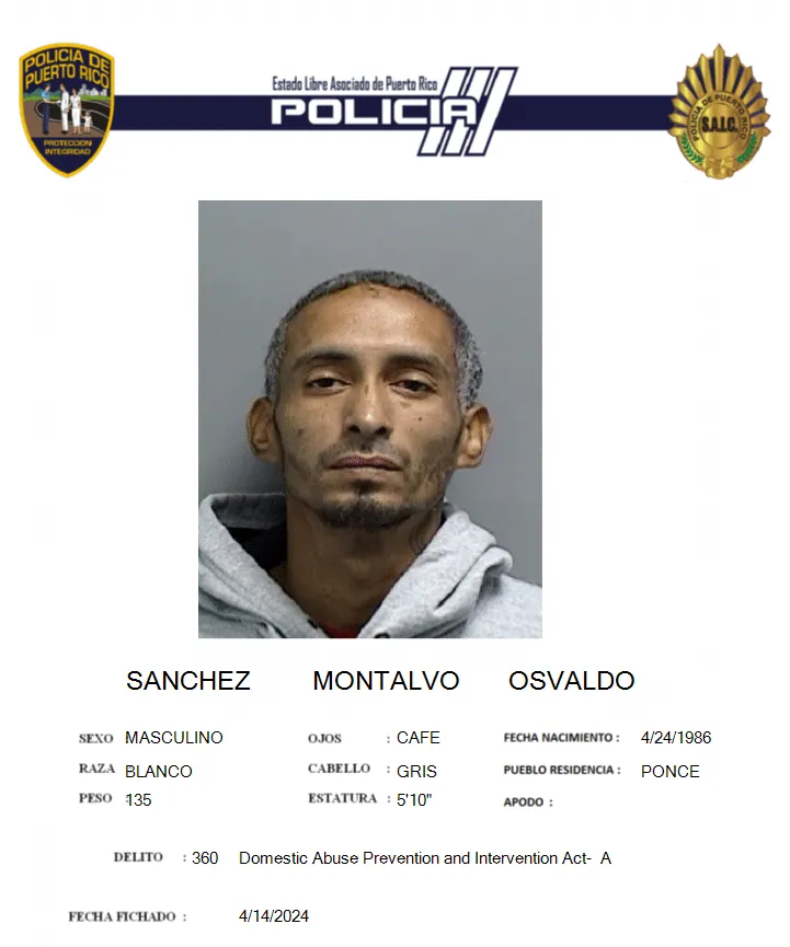 Diligenciamiento de orden de arresto por Ley 54 en Ponce