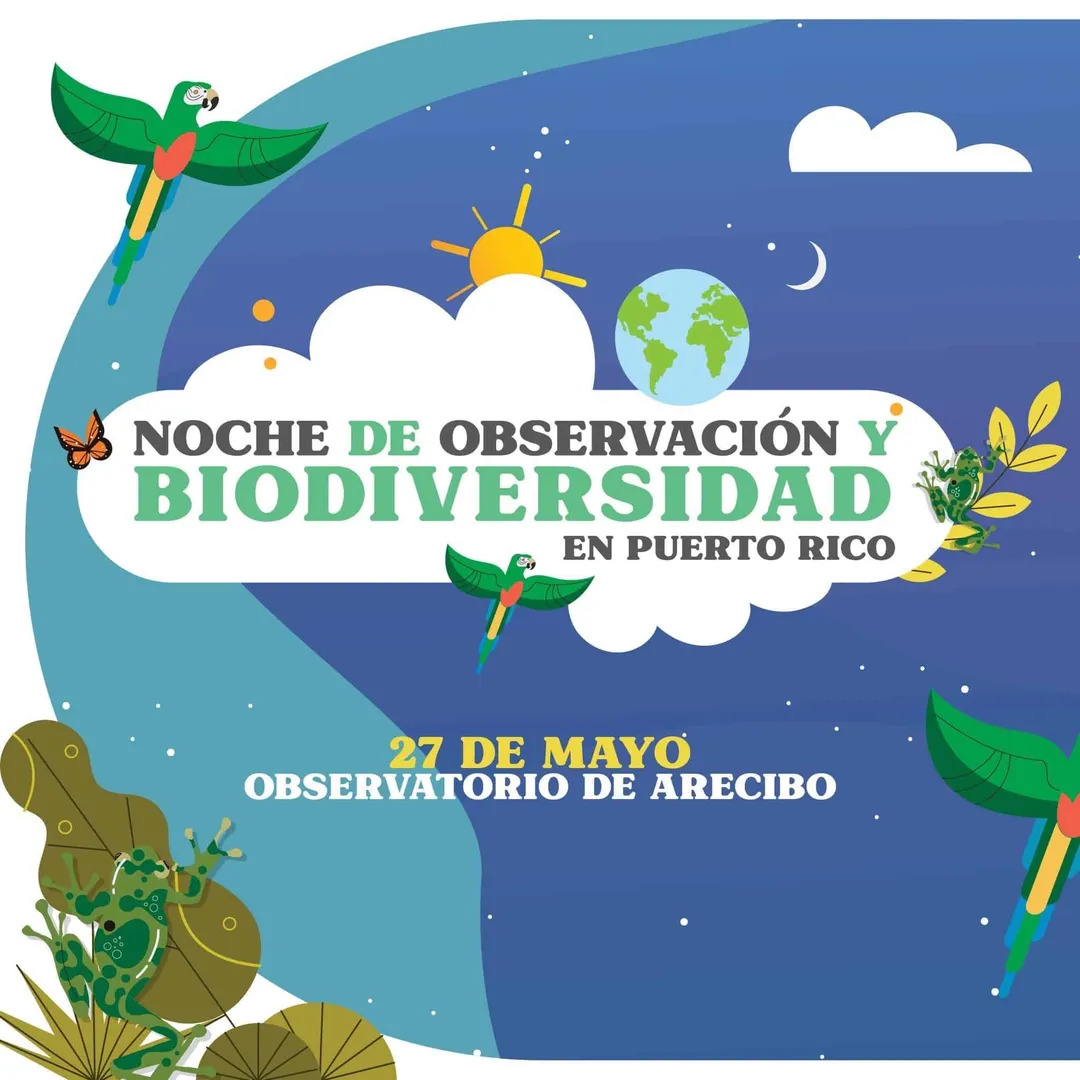 Vive una noche diferente en el Observatorio de Arecibo