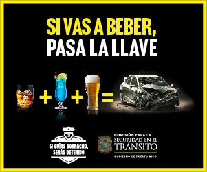 LaVozDigitalPR-ADS
