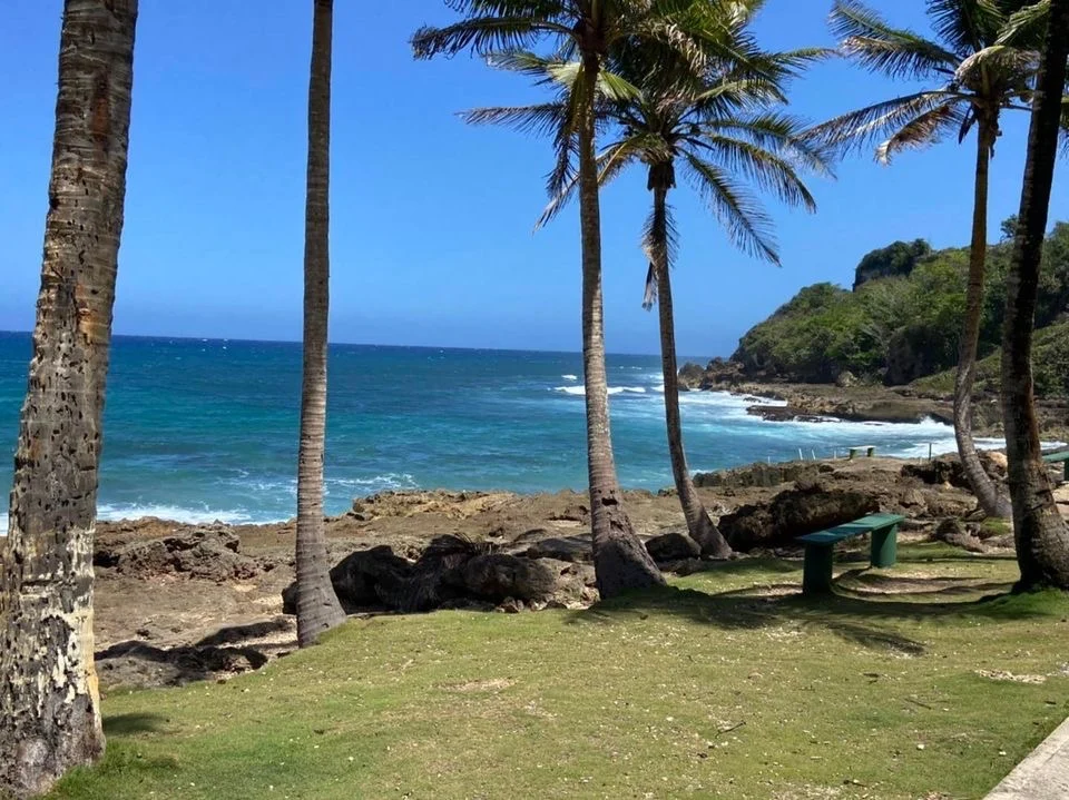 Listo Quebradillas para la 40ma Limpieza Internacional de Costas 2025