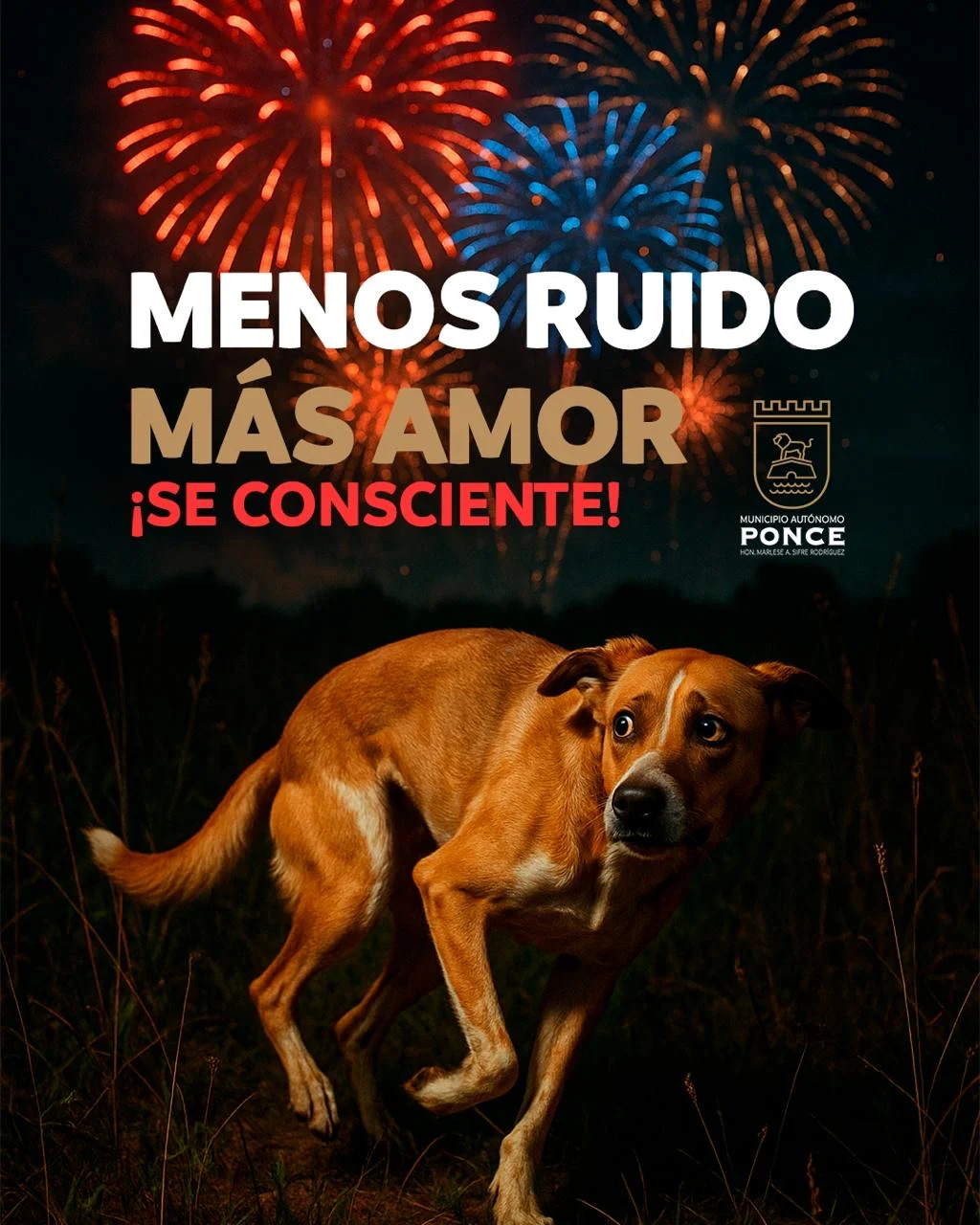 Alcaldesa de Ponce hace llamado firme a evitar el uso de pirotecnia en la temporada festiva