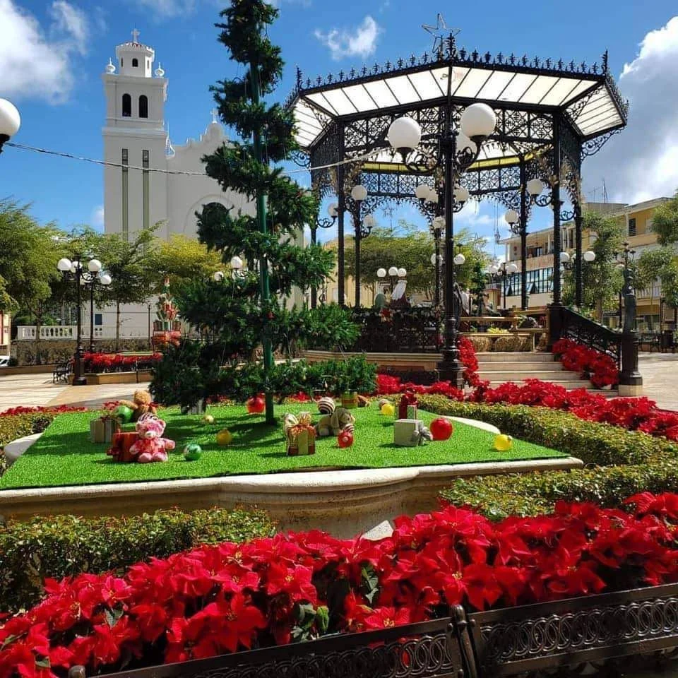 Alcalde Elliot Colón Blanco invita a parranda  “Una Navidad, un Pueblo” en la plaza de Barranquitas