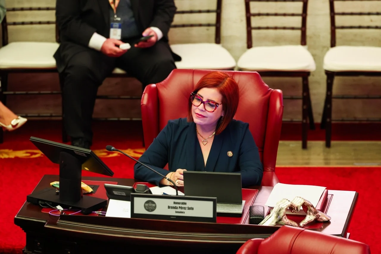 Senado propone que nuevos maestros se sometan de manera obligatoria a exámenes psicológicos y obtengan la certificación de la Ley 300