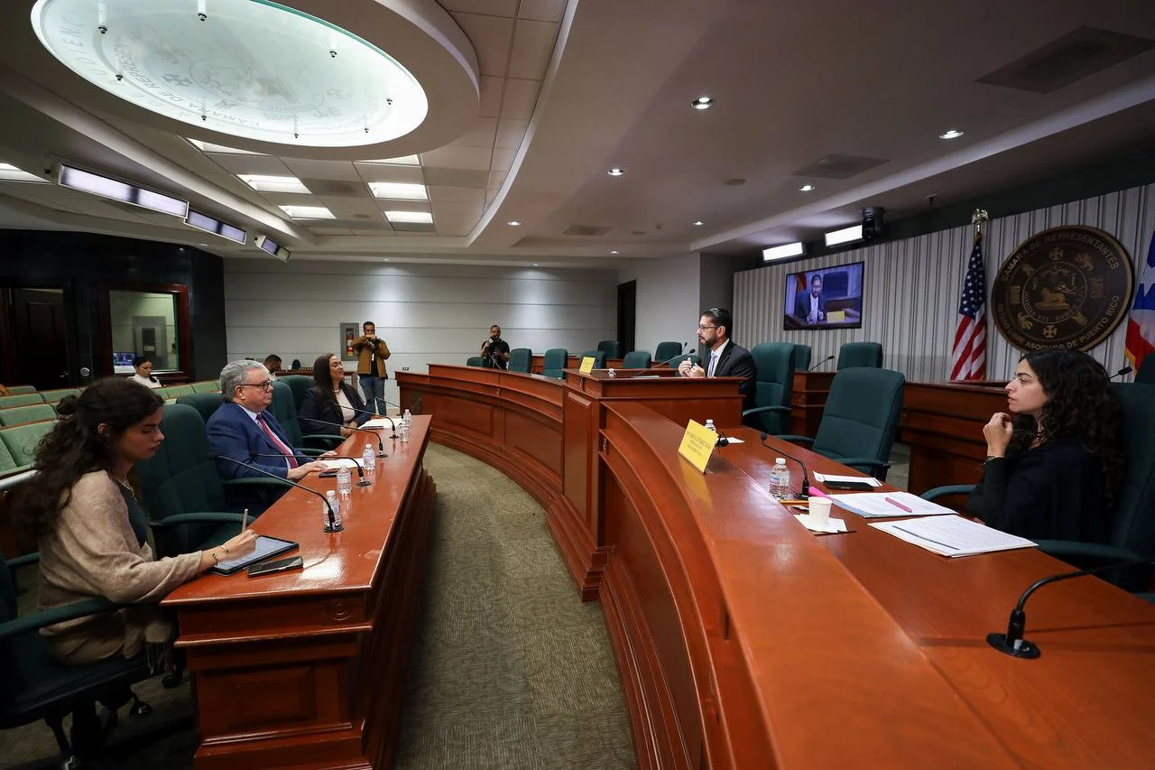 Organizaciones solicitan numerosas modificaciones a proyecto que enmienda la  Ley de Salud Mental