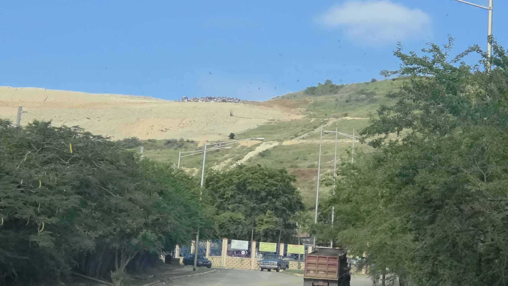 PIP urge investigar transporte de residuos de animales hacia vertedero en Ponce