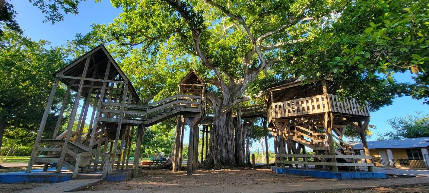 Proyecto para transferir Parque Colón genera controversia por posibles efectos territoriales y administrativos