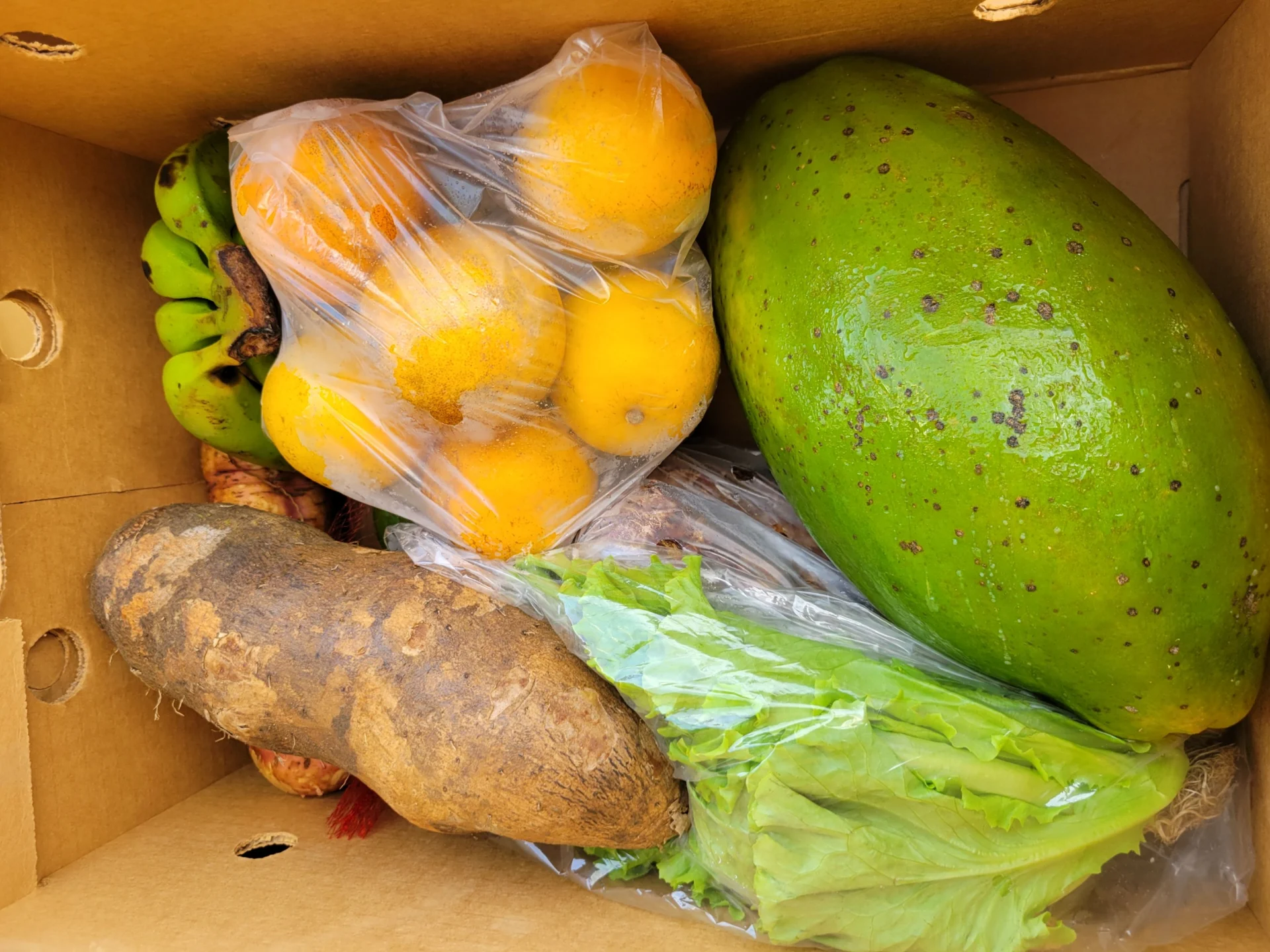 Entrega masiva de alimentos impacta cientos de familias ceibeñas