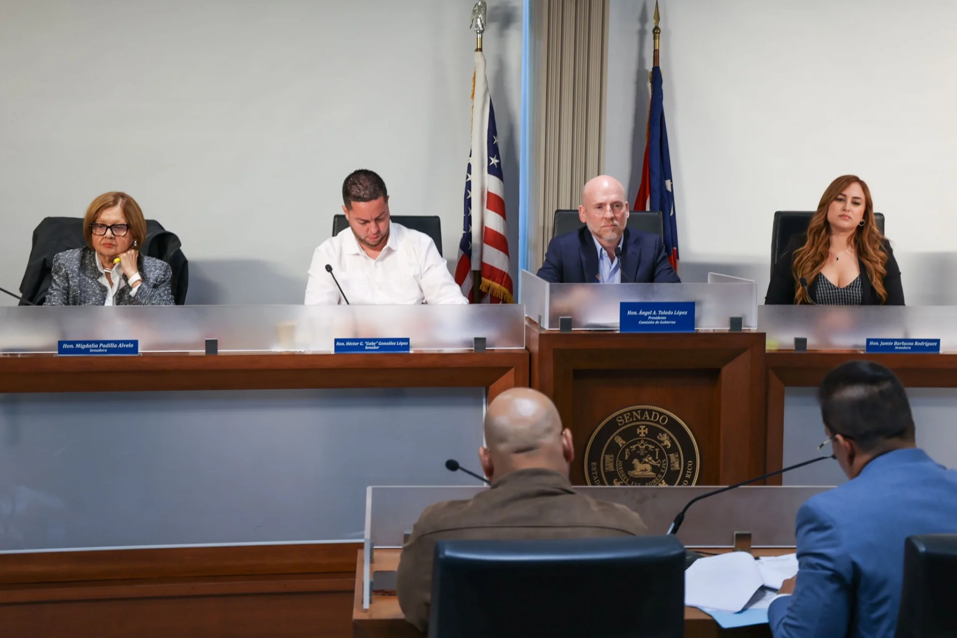 Comisión investiga programas de rehabilitación en el sistema correccional