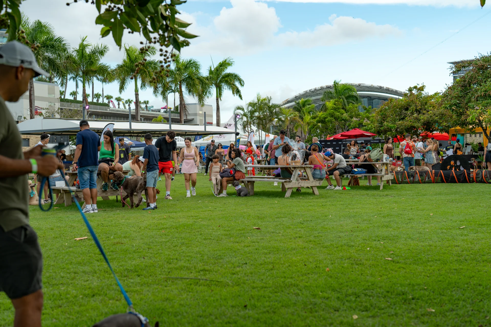 Regresa Bark & Play para celebrar el Pet Day con experiencias para toda la familia