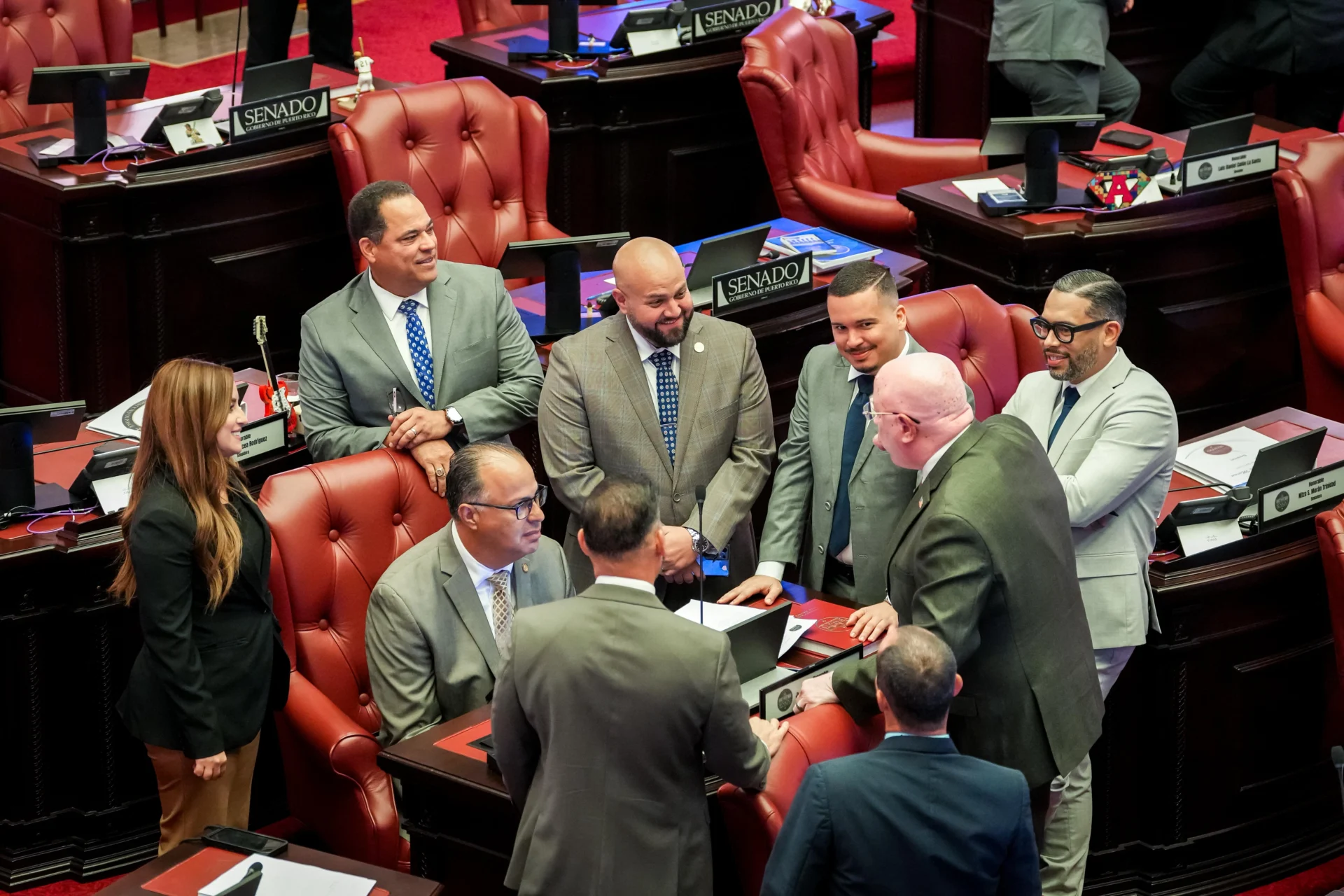 Senado avanza medidas del Presidente senatorial en temas de mascotas, empresarismo femenino y PRITS