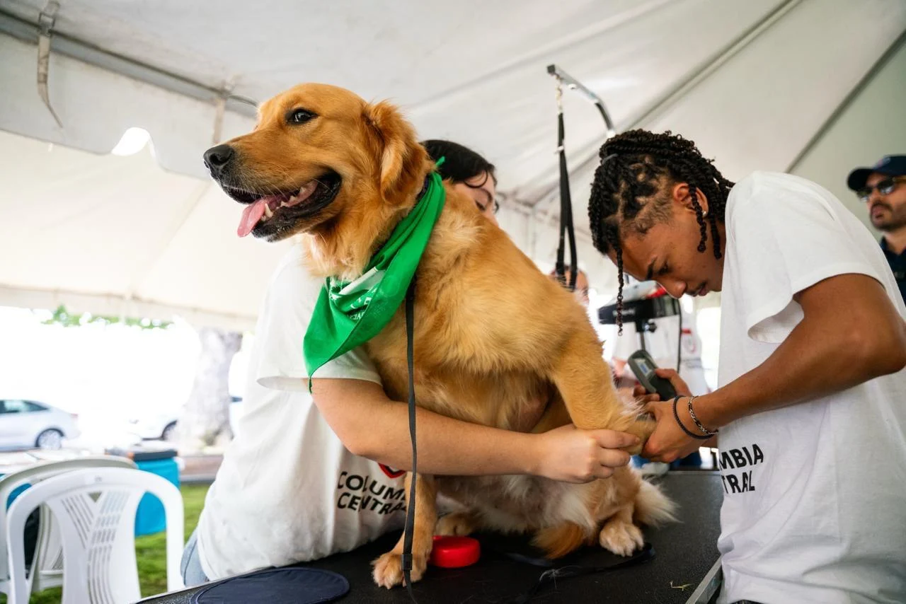 Celebran exitosa feria de vacunación de mascotas en El Capitolio