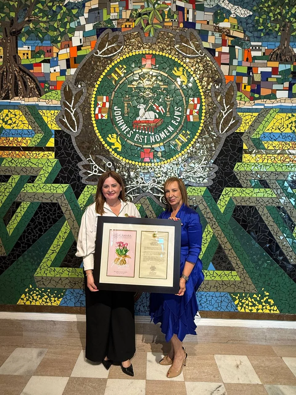 Empresaria rincoeña Sandra Y. Caro Caro es reconocida en la Cámara de Representantes por su aportación al turismo