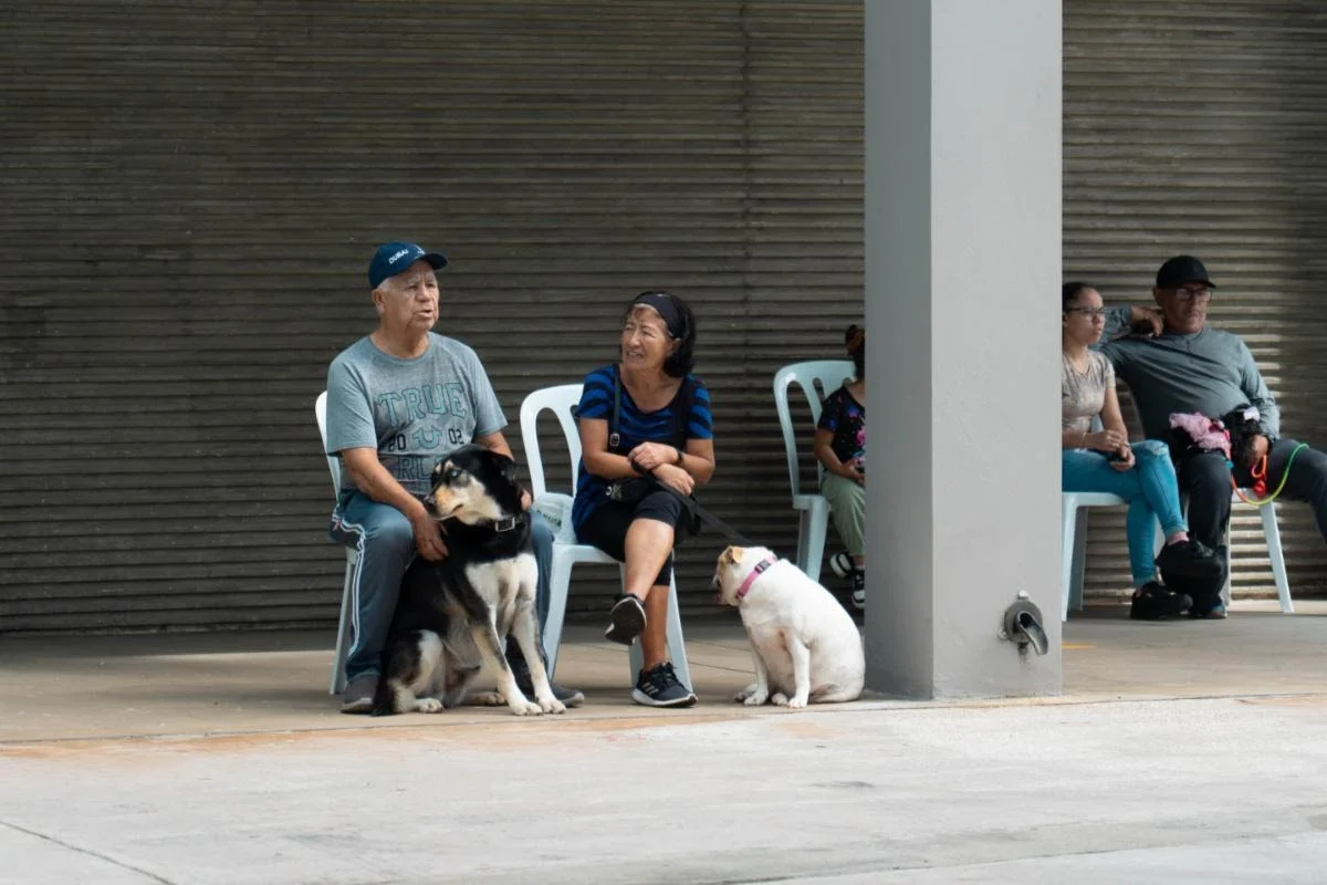 Cidra impulsa el bienestar animal con vacunación de 252 mascotas en jornada municipal