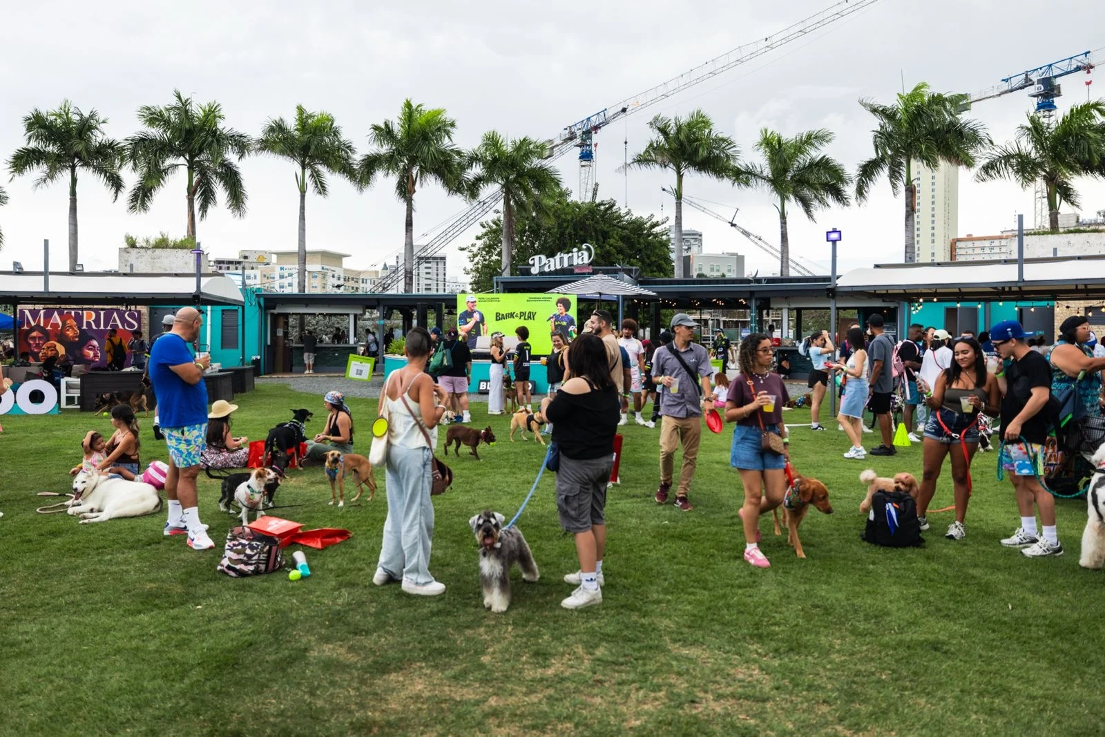 Bark & Play reúne a más de 1,600 personas y promueve la adopción responsable en su cuarta edición