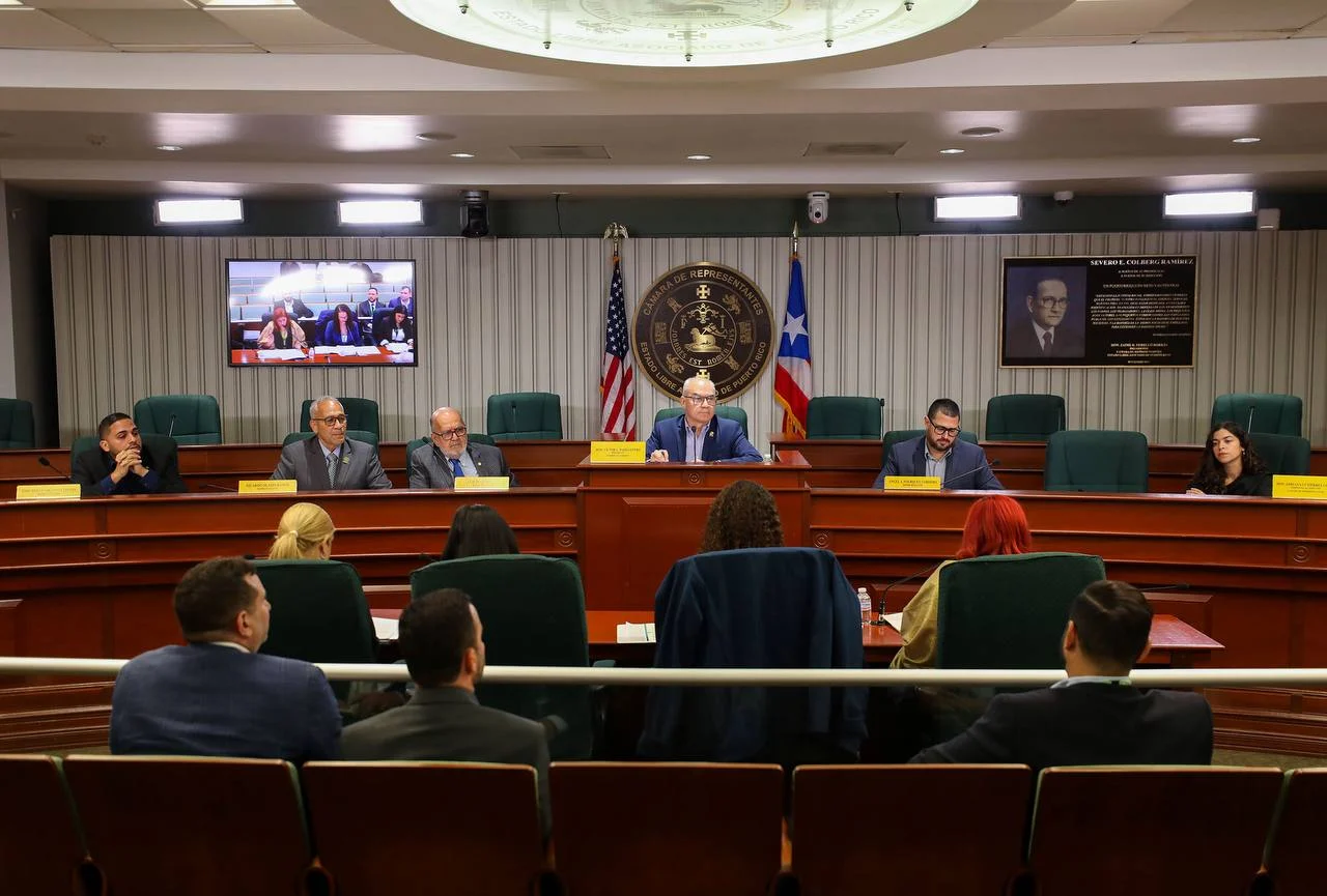 Presidenta de LUMA expone prioridades operacionales ante comisión  legislativa