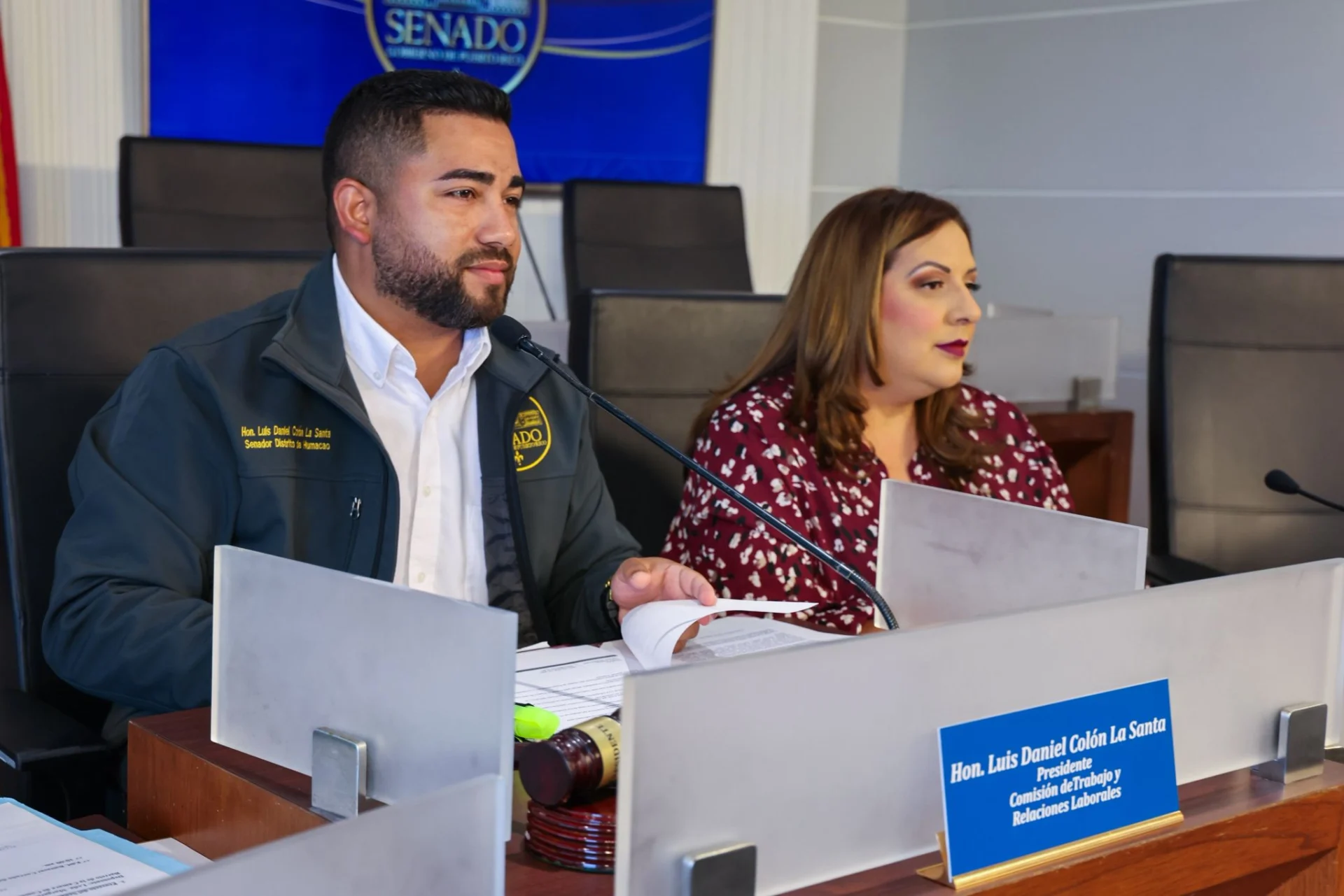 Senado examina medidas sobre desempleo, cannabis medicinal y protección laboral