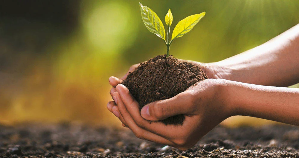 Continúan en Quebradillas  talleres sobre agricultura y preparación para la temporada de huracanes