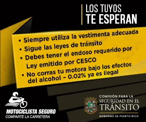 LaVozDigitalPR-ADS