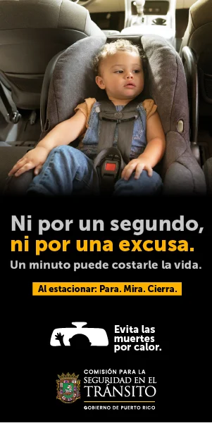 LaVozDigitalPR-ADS