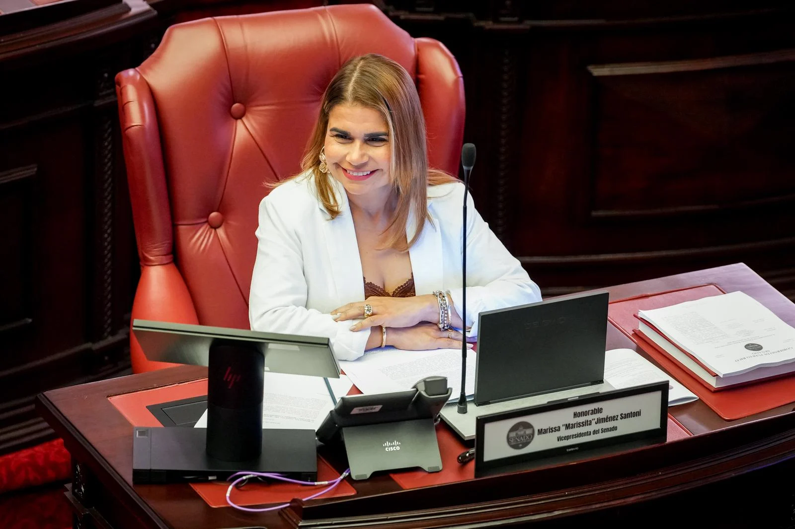 Senado aprueba medidas sobre inteligencia artificial en subastas públicas, retiro de servidores de alto riesgo y licencia digital para adultos mayores