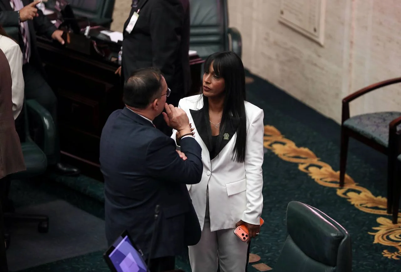 Cámara aprueba clarificar derechos de las víctimas de Ley 54 en procesos  judiciales