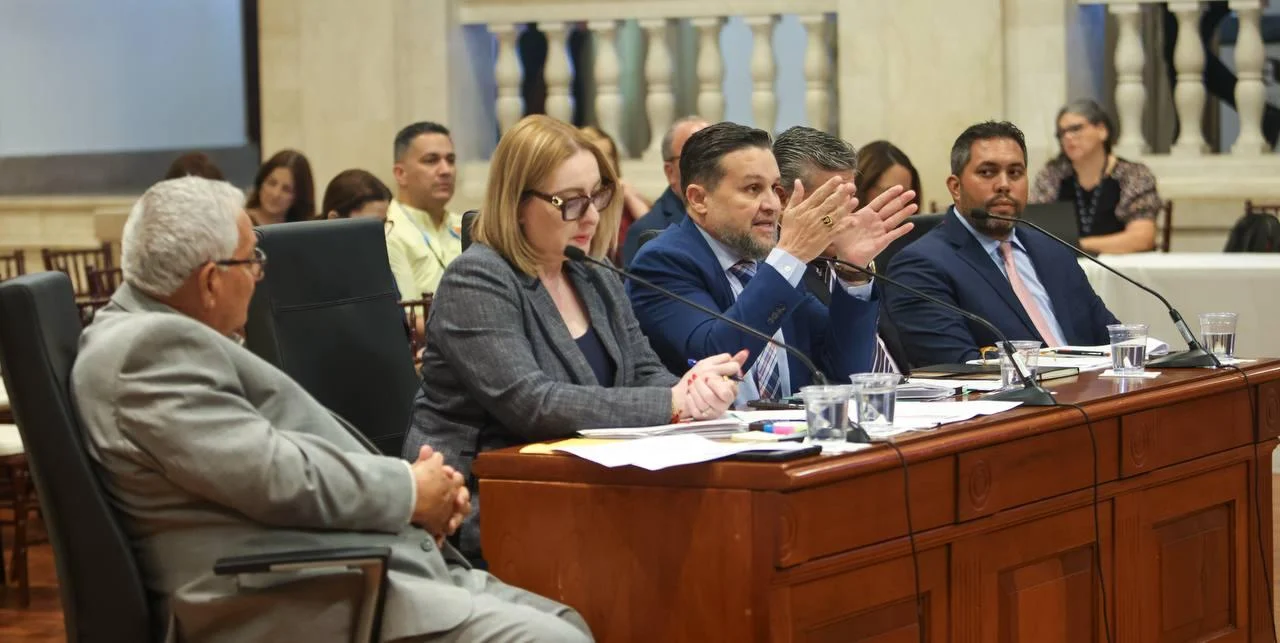 Comisión senatorial recibe recomendaciones del DRNA, contratistas y bomberos sobre proyectos de reforma de permisos