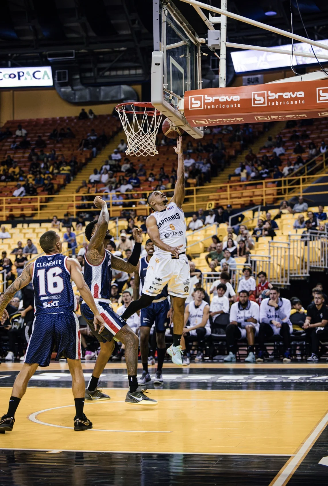 Arecibo regresó a la ruta ganadora