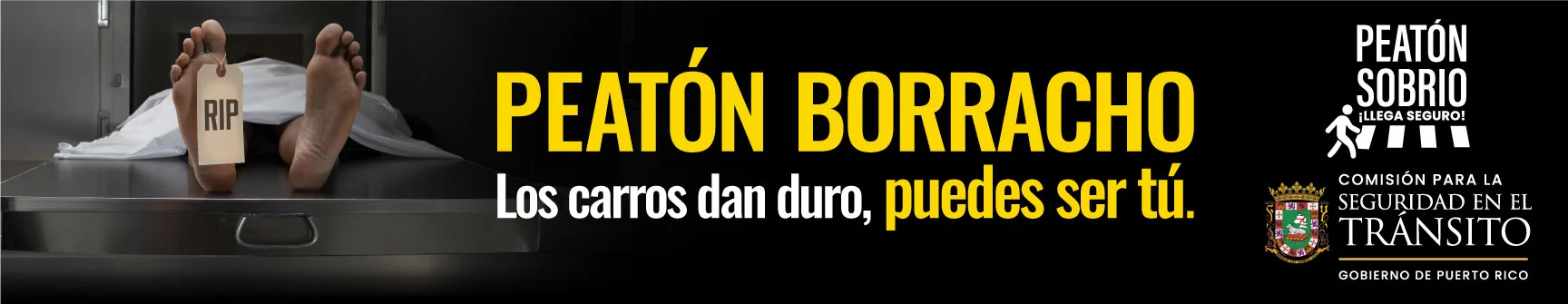 LaVozDigitalPR-ADS