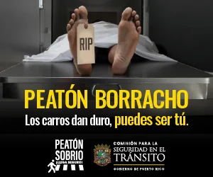 LaVozDigitalPR-ADS