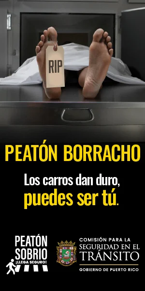 LaVozDigitalPR-ADS