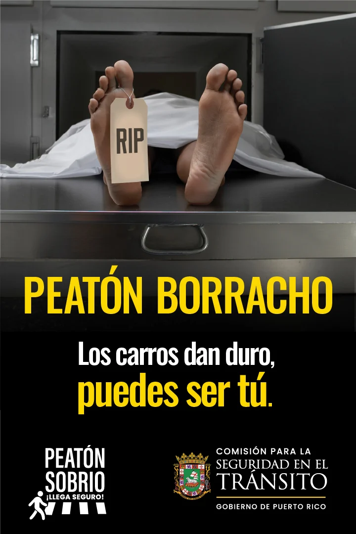 LaVozDigitalPR-ADS