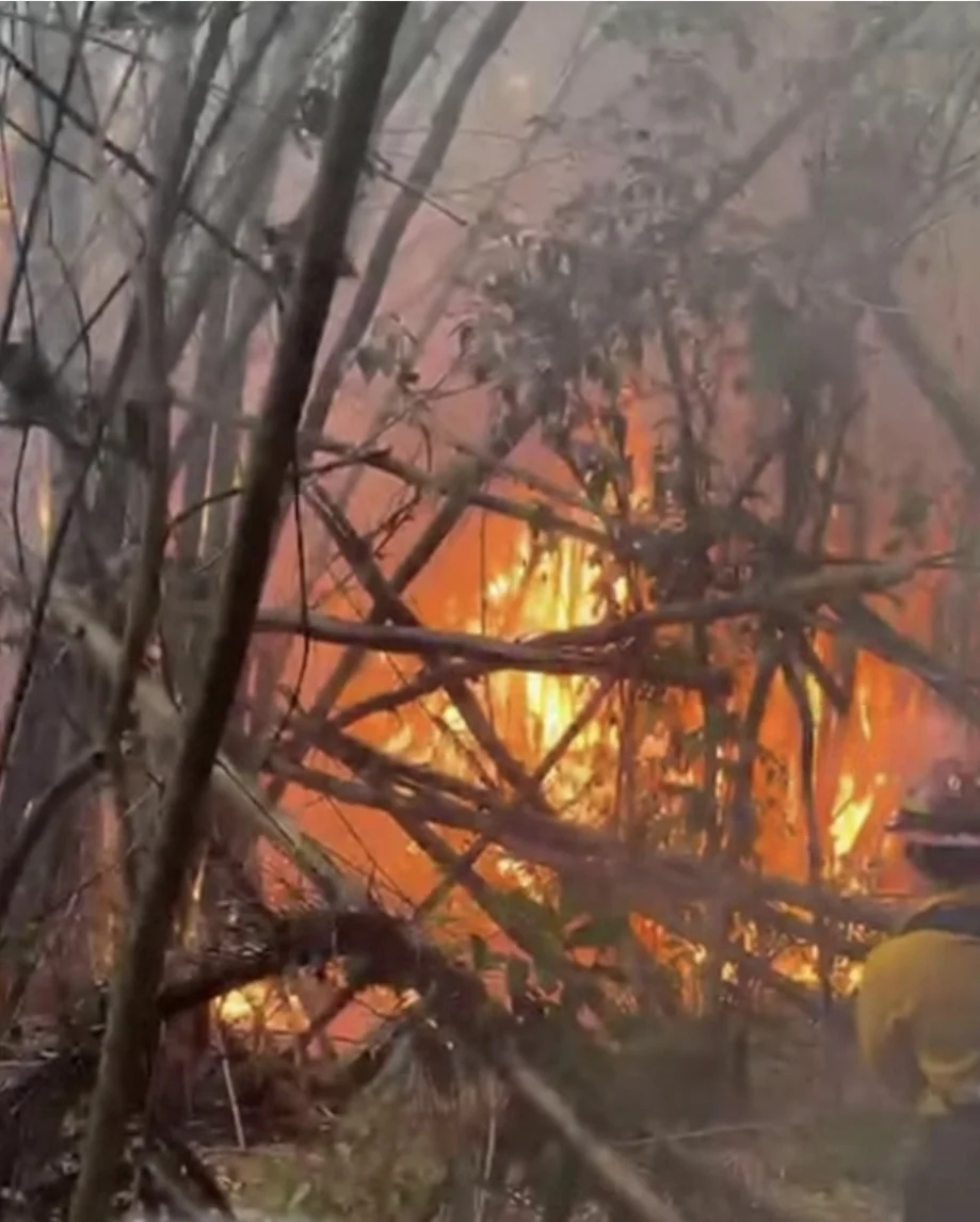Alcalde de San Germán atiende emergencia por siete incendios forestales en varias comunidades
