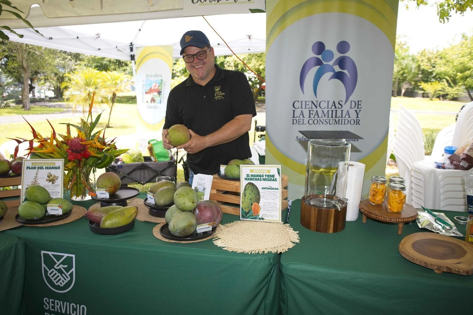 Festival del Mango 2026 busca posicionar a Mayagüez como la Capital del Mango en Puerto Rico