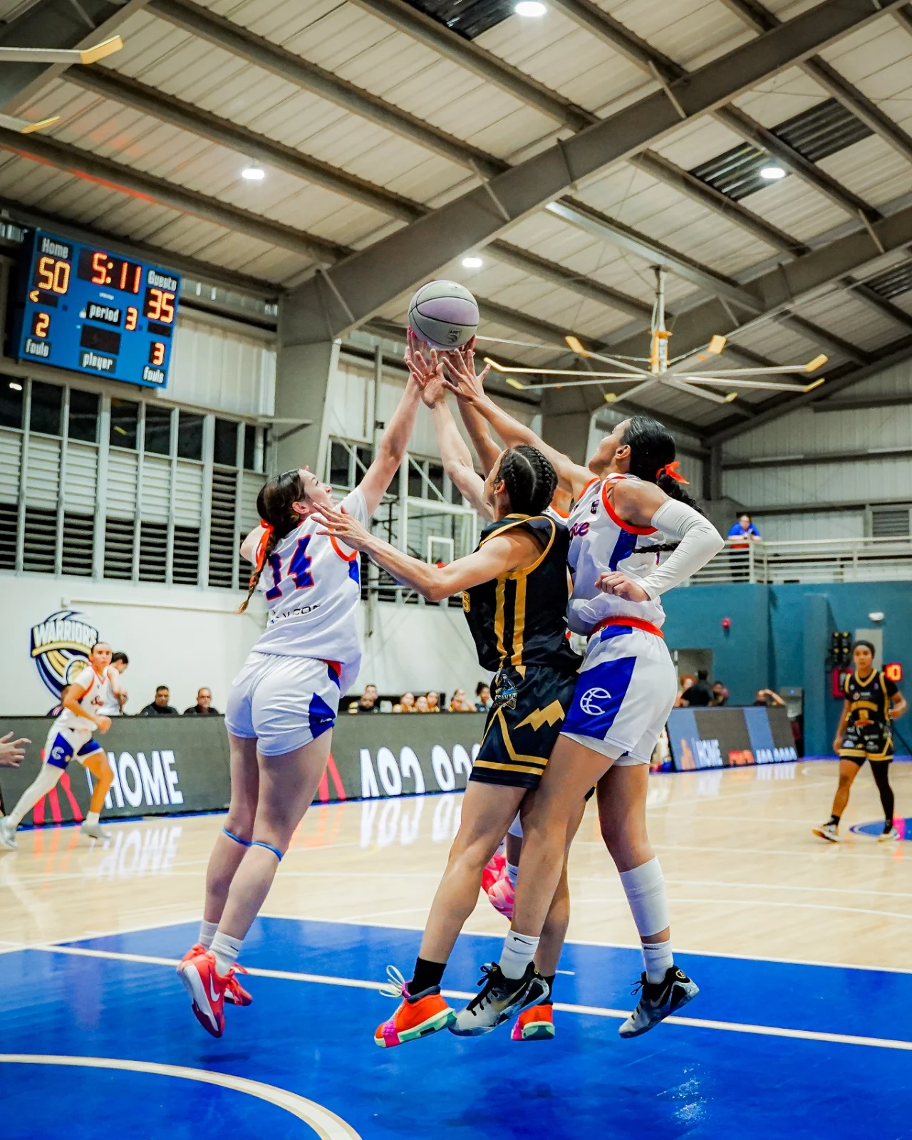 La LBPF celebrará su Juego de Estrellas en Isabela