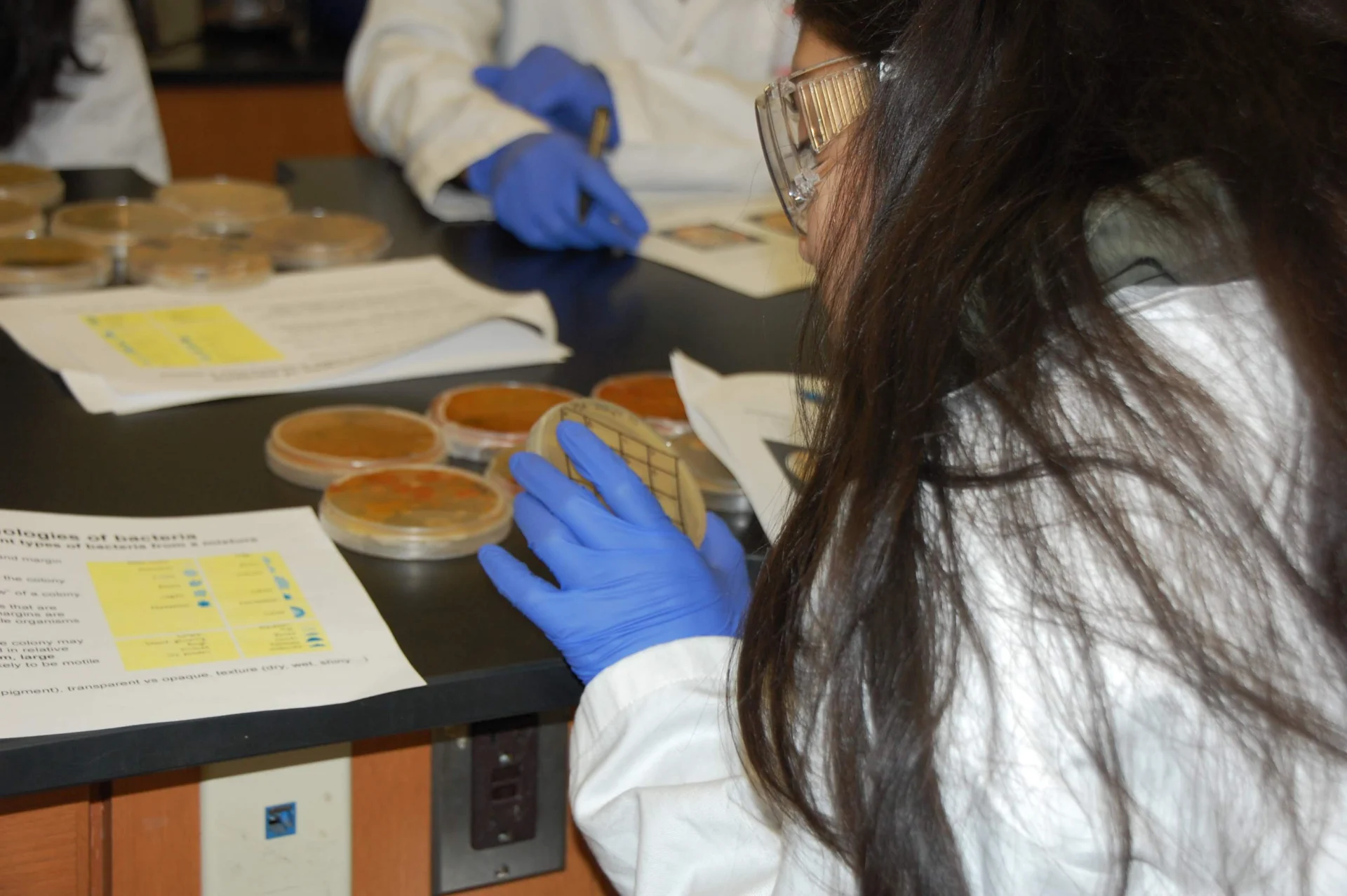 Estudiantes puertorriqueños podrán unirse a la búsqueda mundial de nuevos antibióticos en innovador campamento científico