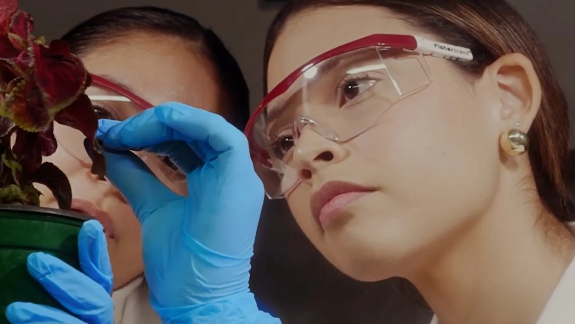 PRABIA busca a la próxima generación de talento científico en biotecnología agrícola