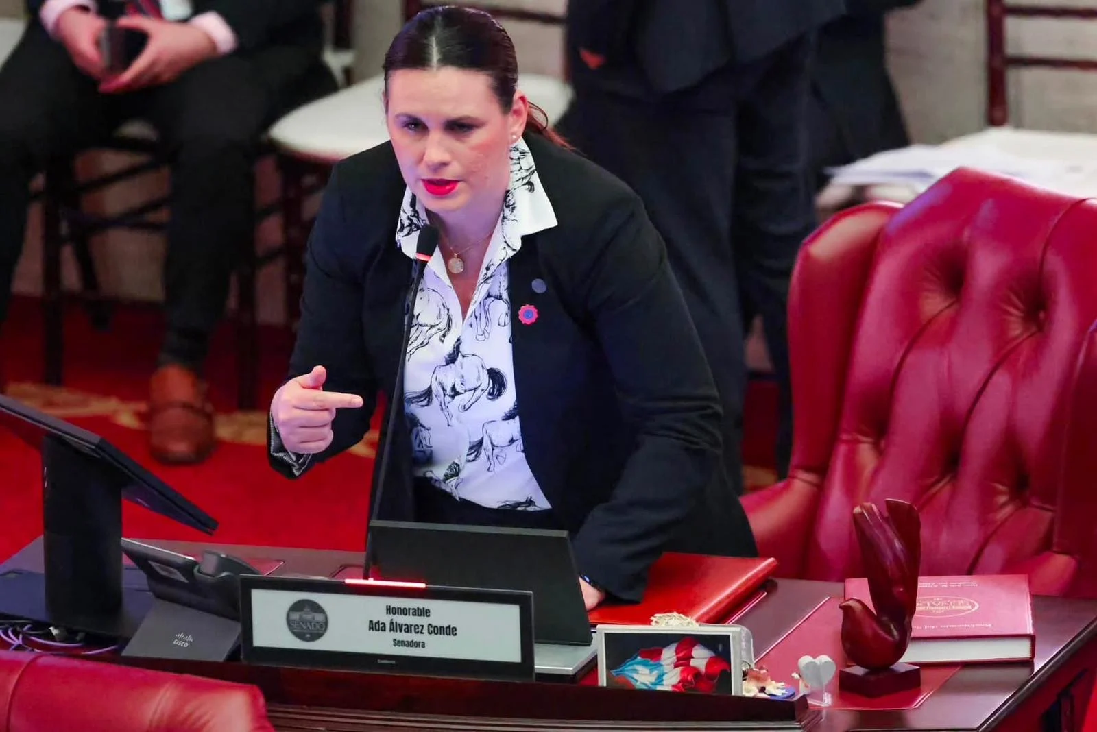 Senadora reclama a la AAA un plan con prioridades