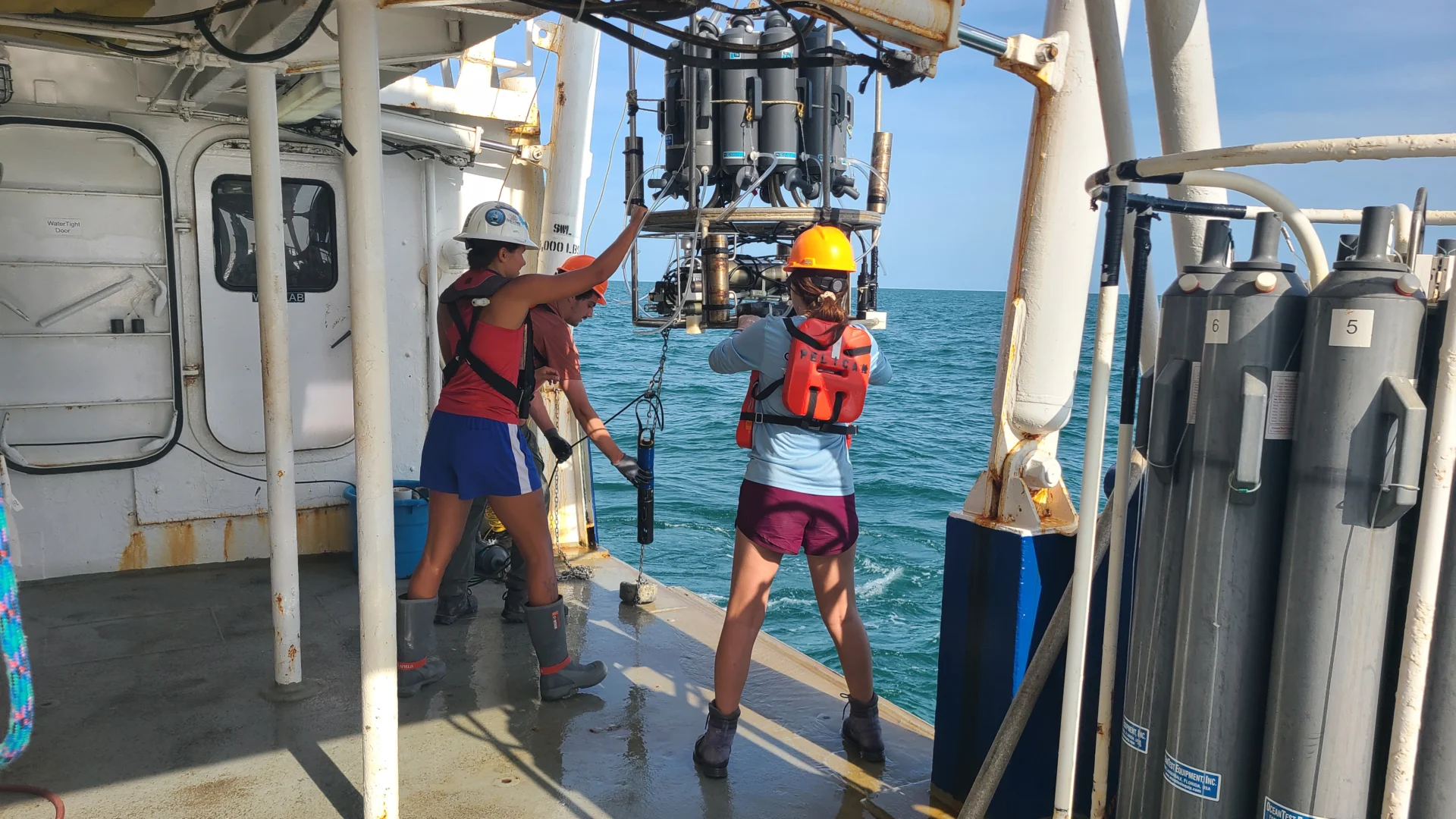 Zona muerta en el Golfo de América alcanza su segundo nivel más bajo en 40 años, según NOAA