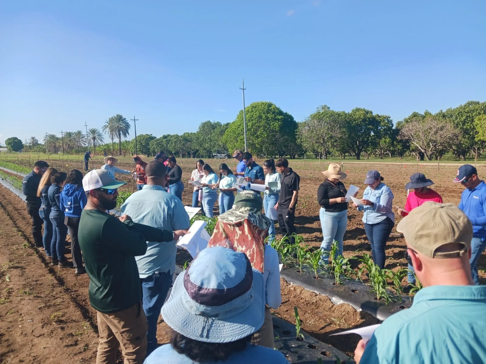 Clínica de Diagnóstico de Plantas de la EEA de Juana Díaz obtiene acreditación del NPDN