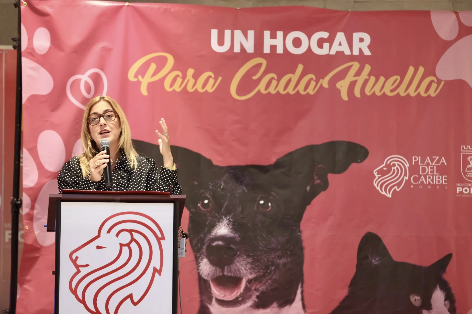 Roban equipos y causan daños en albergue municipal de animales en Ponce