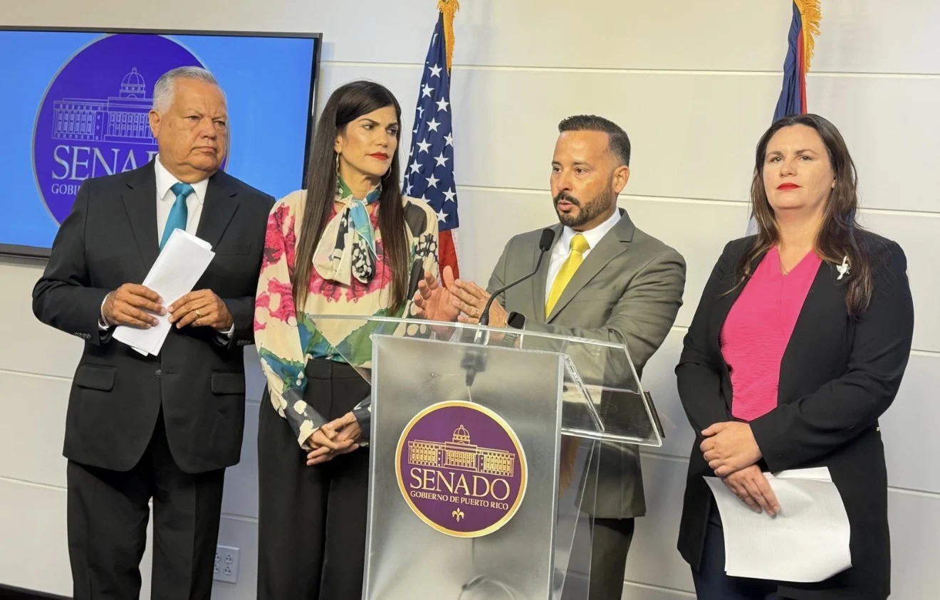PPD en el Senado lanza iniciativa ‘Amas de llaves para los 78 municipios’, hoy presentaron los detalles
