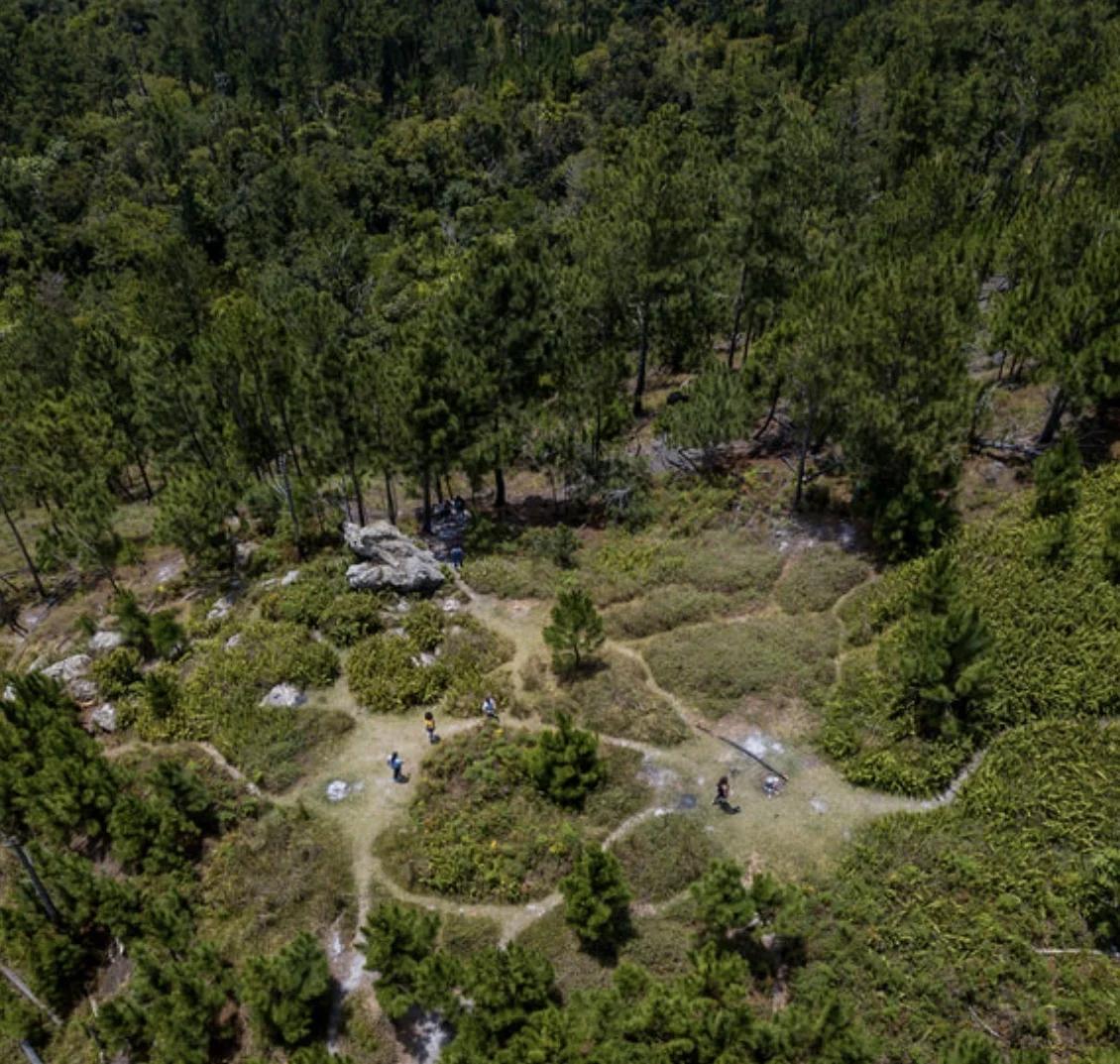 Cayey impulsa la protección ambiental con la creación del Bosque Turístico Los Pinos